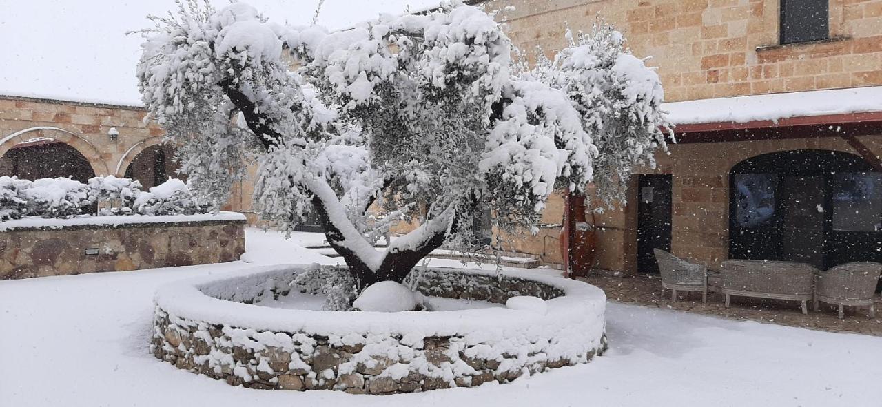 טורה סנטה סוזנה Masseria San Nicola B&B מראה חיצוני תמונה