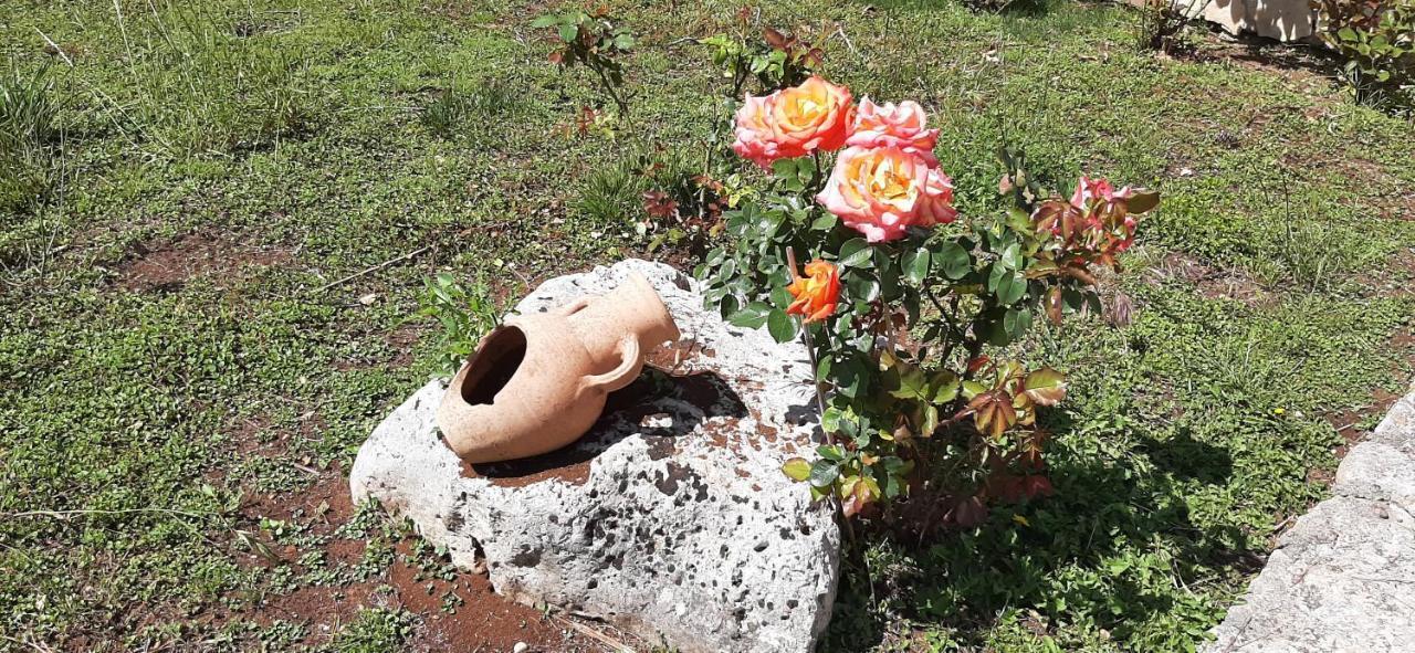 טורה סנטה סוזנה Masseria San Nicola B&B מראה חיצוני תמונה