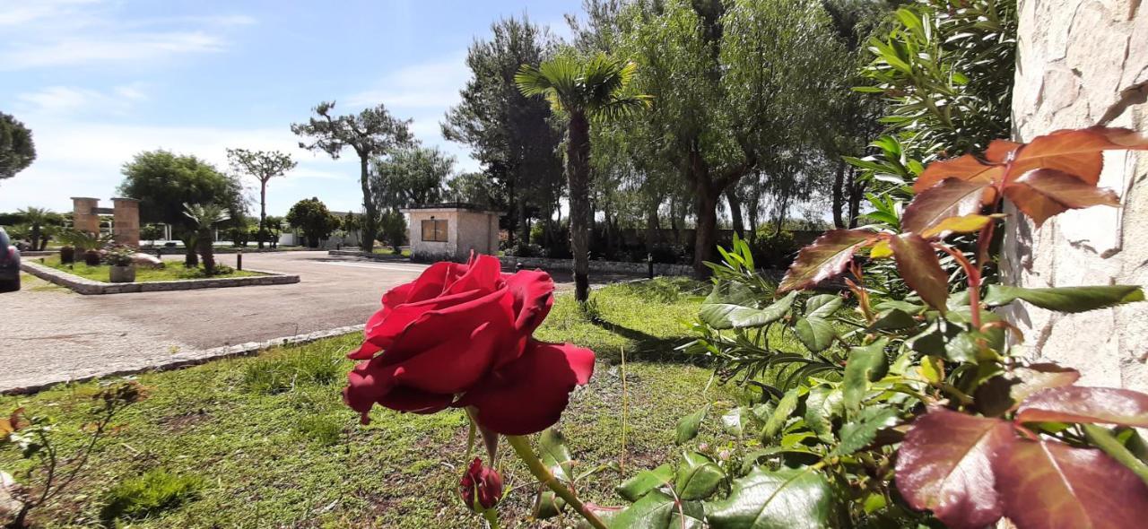 טורה סנטה סוזנה Masseria San Nicola B&B מראה חיצוני תמונה