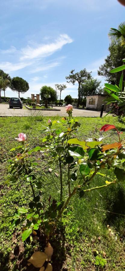 טורה סנטה סוזנה Masseria San Nicola B&B מראה חיצוני תמונה