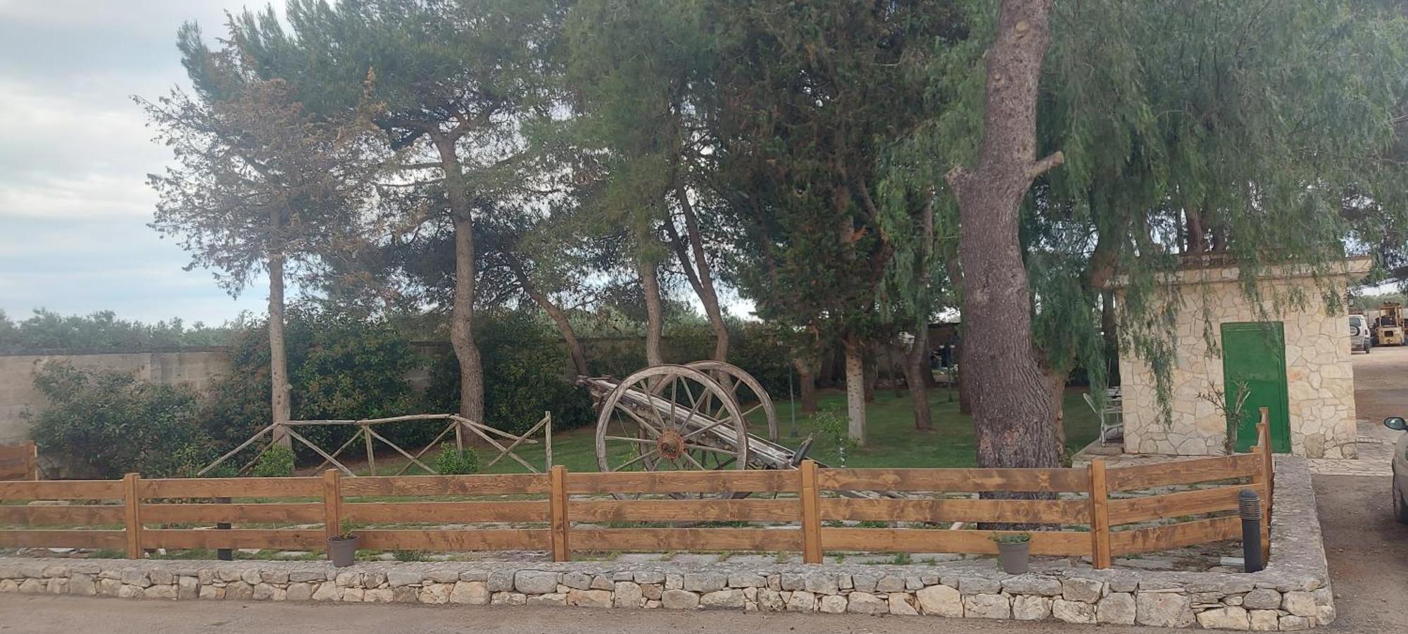 טורה סנטה סוזנה Masseria San Nicola B&B מראה חיצוני תמונה